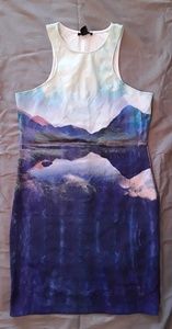 H&M Sleeveless Dress With Scenic Print Size Large